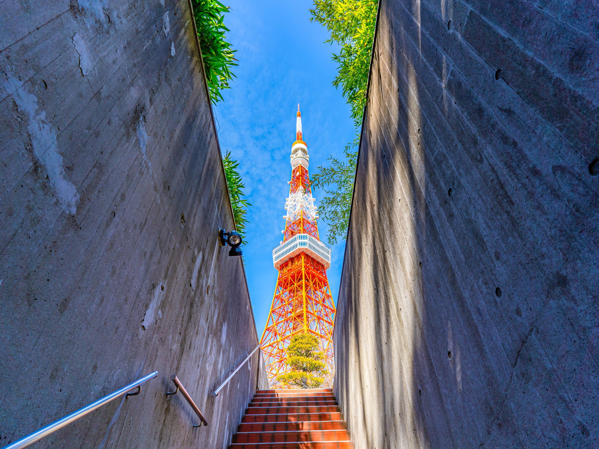 東京フリープラン 福岡発 東京旅行 東京ツアーなら格安旅行のj Trip